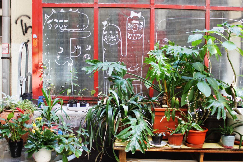 Dbc Hostel Budapest Eksteriør billede